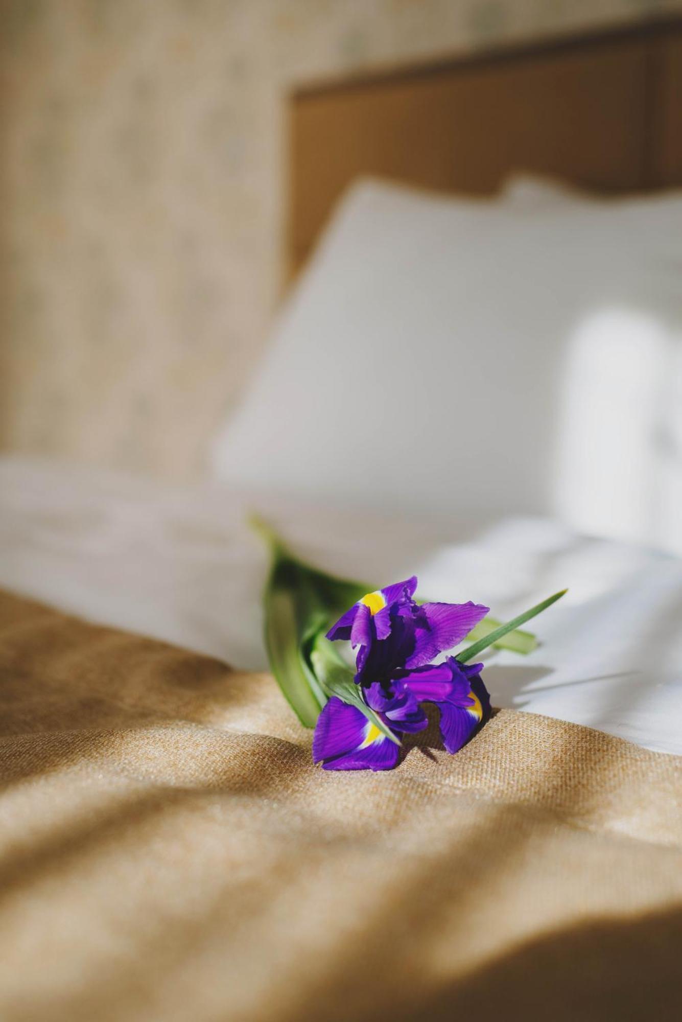 Hotel Alkor Truskavec Pokoj fotografie